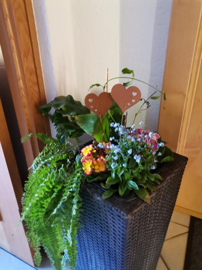 Ferienwohnung Hohe Wand Хайлигенблут Екстериор снимка